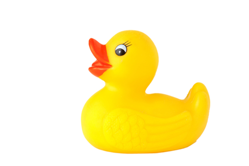 plastic duck
