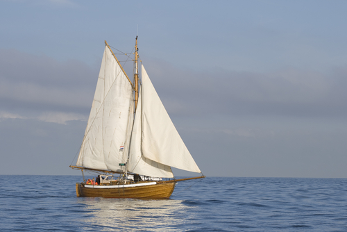 Sail Boat