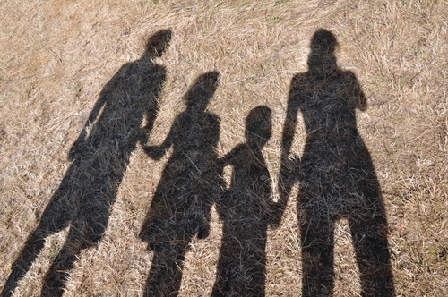 family long shadows on grass