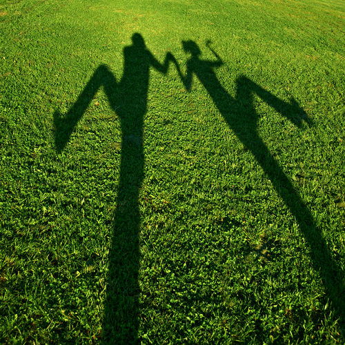 Long shadows on grass