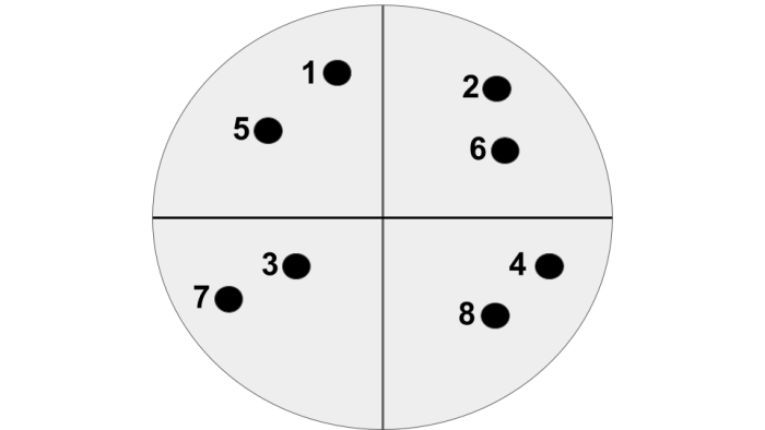 8 dots shared between 4 groups 