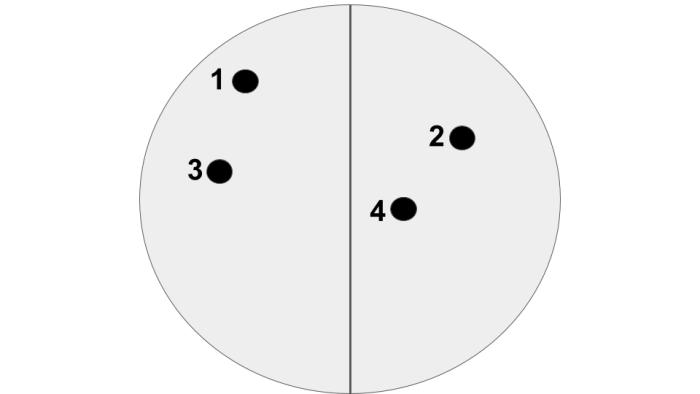 4 dots shared between 2 groups