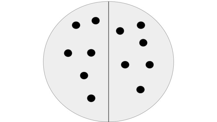 12 dots shared into 2 groups