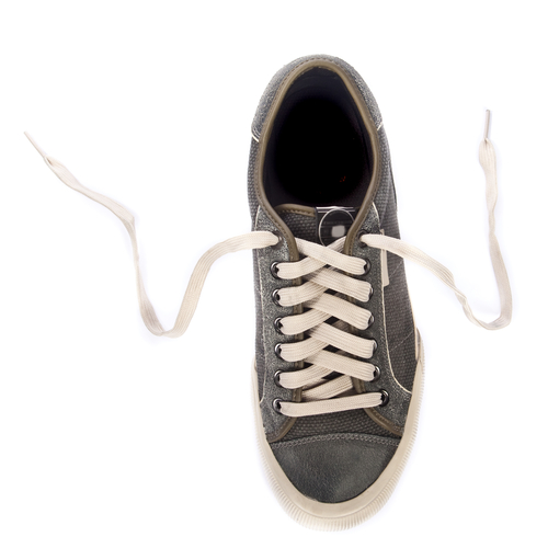 shoe