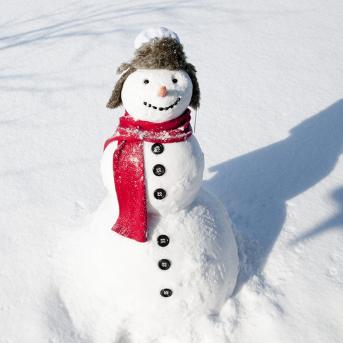 snowman in hat and scarf