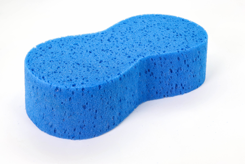 blue sponge