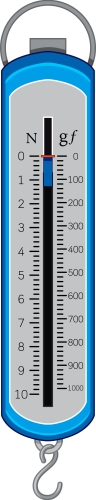 a newton meter