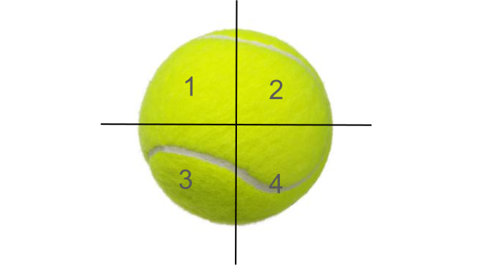 tennis ball split into 4 parts