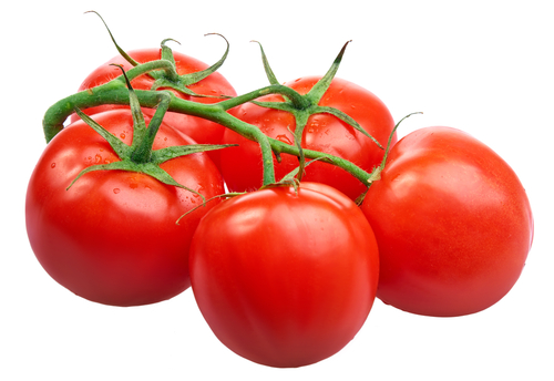 tomatoes