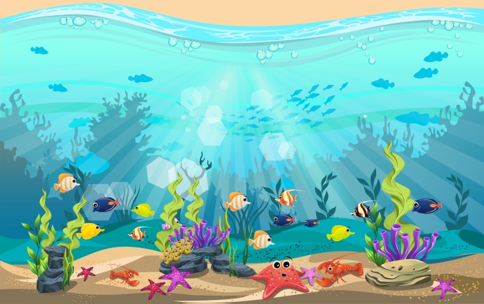 ocean habitat and animals