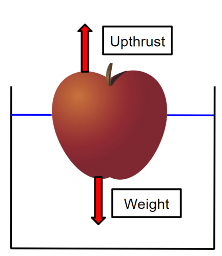 forces on a floating apple