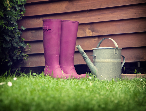 pink wellies