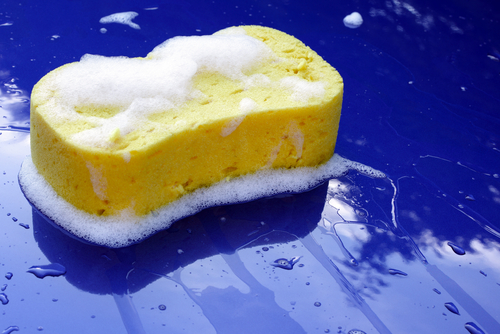 wet sponge